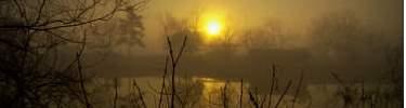Fog on the River